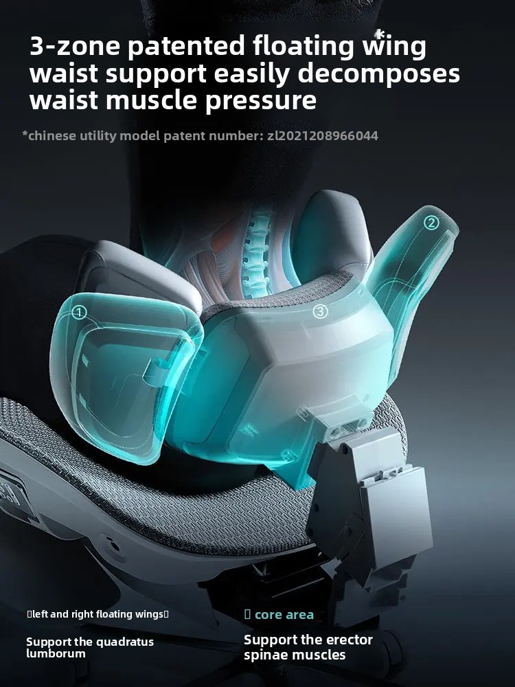 Ergonomic Chair,AI 3-Zone Lumb - Office Furniture Zone บทวิจารณ์และราคา